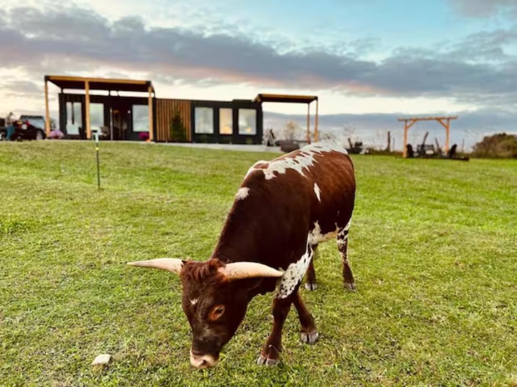 'scenic Escapes' Romantic Pine Grove Getaway!